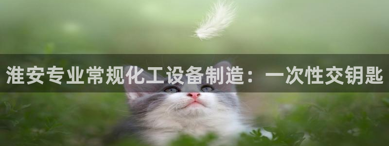 门徒平台注册中心官网查询