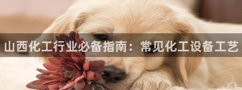 门徒平台指定入口
