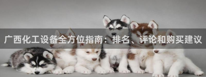 门徒娱乐平台下载官网