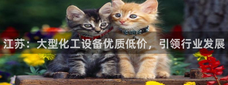 门徒娱乐公司介绍