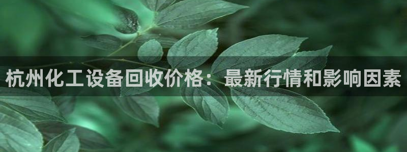 门徒平台官网首页入口