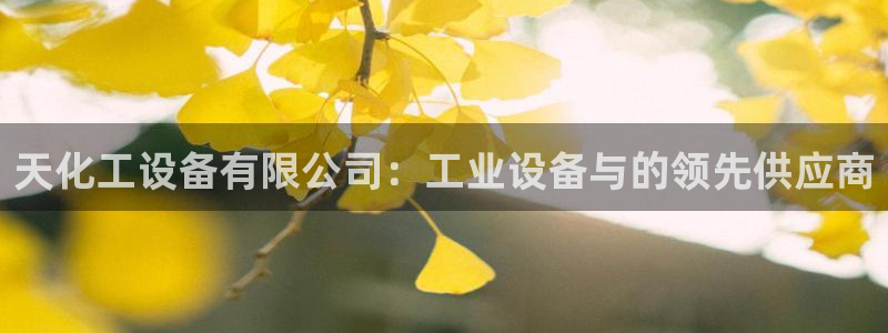 门徒娱乐平台登录1990官网