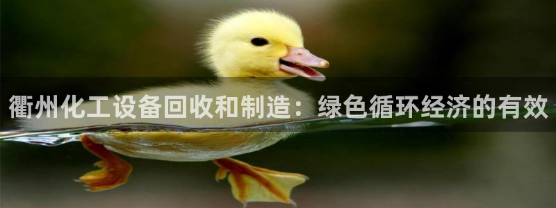 门徒娱乐平台下载官网
