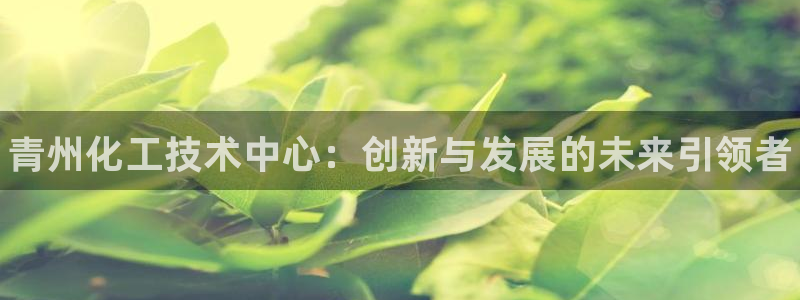 门徒平台云 411o31 门徒：青州化工技术中心：创新与发展