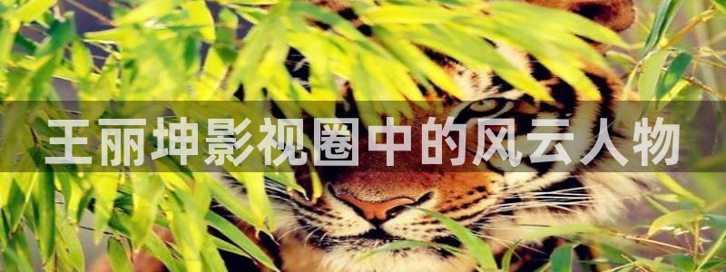 狼人影院在线：王丽坤影视圈中的风云人物