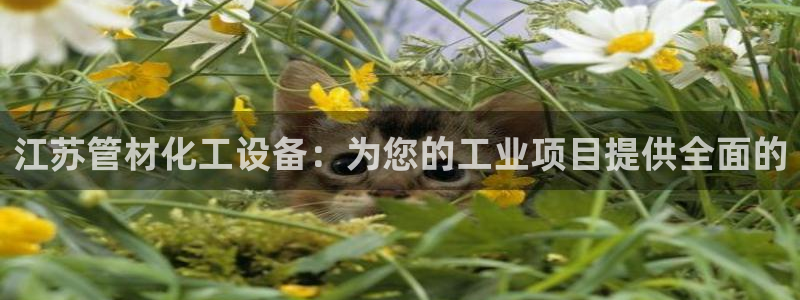 门徒娱乐平台代理怎么做到的呢