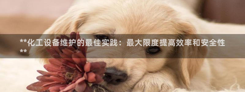 门徒娱乐app代理加盟怎么样