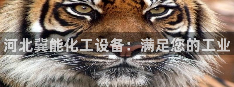 门徒娱乐是什么意思啊