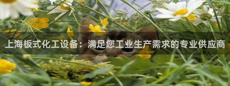 门徒娱乐06h娱乐判官333oo