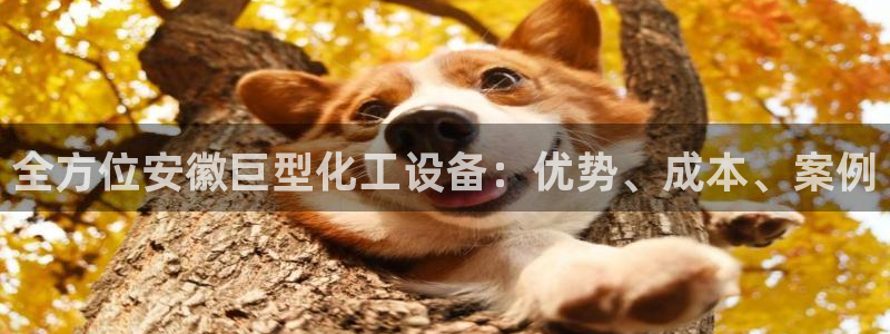 门徒娱乐的员工福利福利与价值