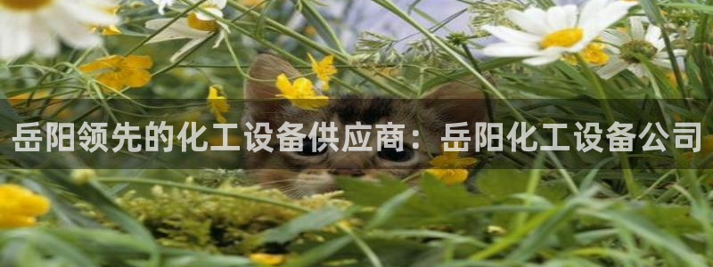 门徒娱乐的客服服务