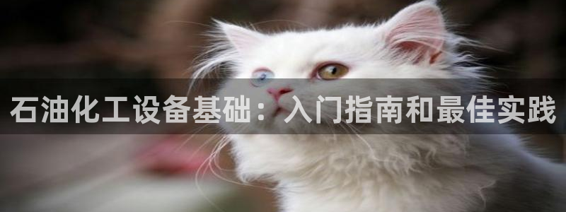 门徒平台指定入口