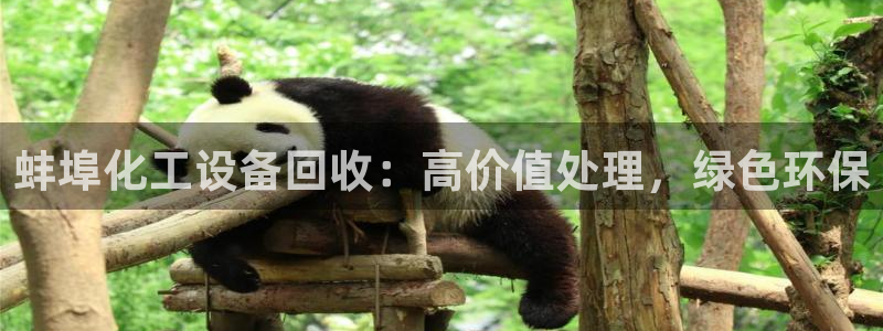 门徒平台会员注册流程