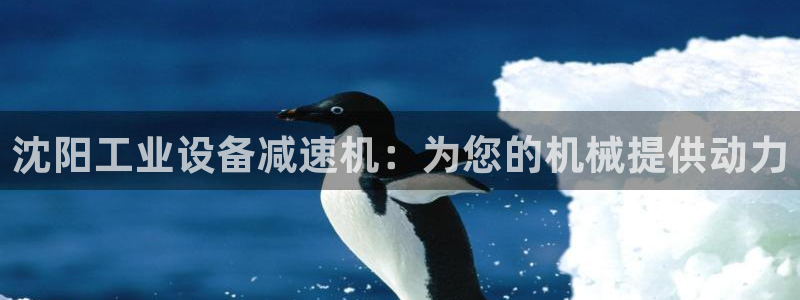 门徒平台会员注册流程