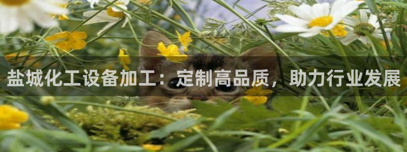 门徒娱乐是什么意思啊