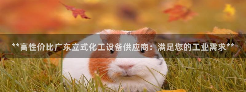 门徒平台登录注册失败