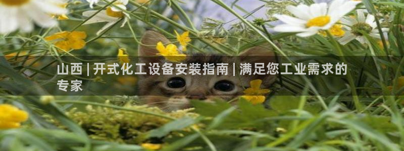 门徒娱乐网址是什么