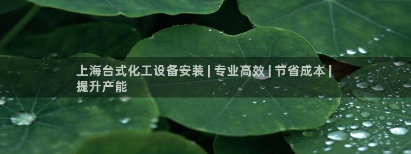 门徒平台官网注册账号