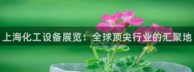 门徒平台开户流程是什么