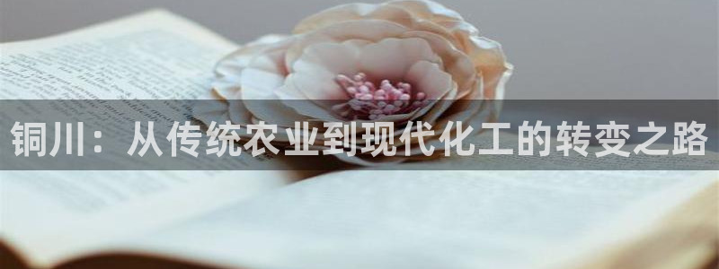 门徒平台注册中心在哪找